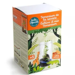 Terrarium de la savane - Radis et Capucine