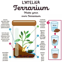 Terrarium de la savane - Radis et Capucine