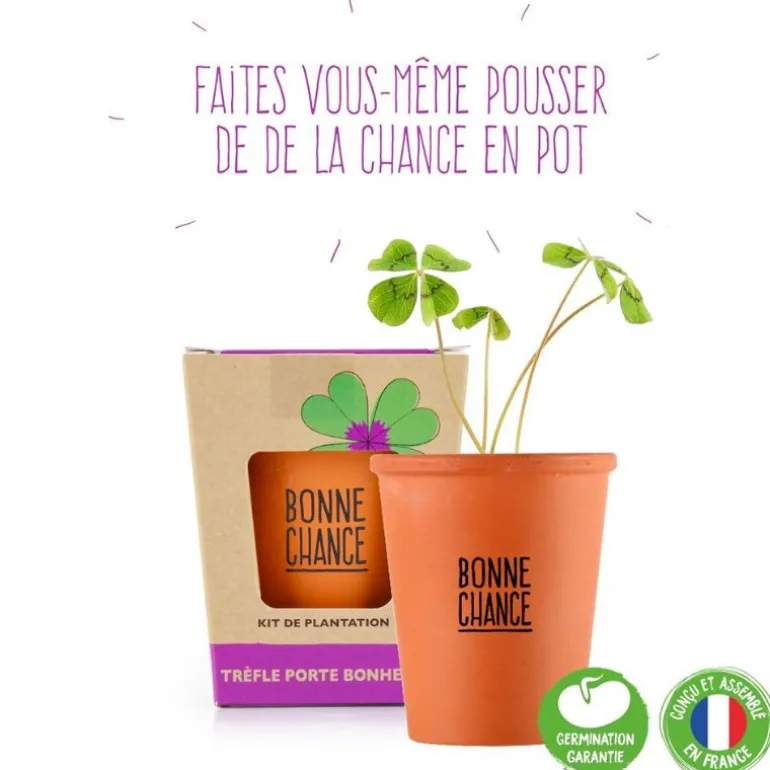 Trèfle à quatre feuilles - Kit message « Bonne chance » - Radis et Capucine
