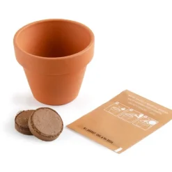 Trèfle à quatre feuilles - Kit message « Bonne chance » - Radis et Capucine