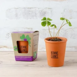 Trèfle à quatre feuilles - Kit message « Bonne chance » - Radis et Capucine