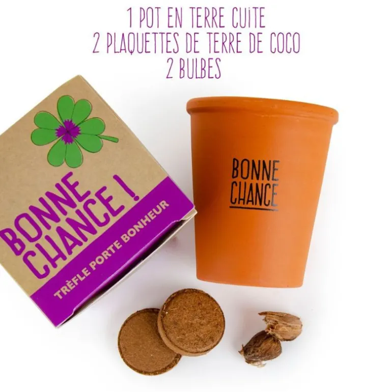 Trèfle à quatre feuilles - Kit message « Bonne chance » - Radis et Capucine