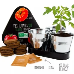 Trio de Tomates à faire pousser - Radis et Capucine