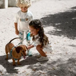 T-shirt de bain anti-uv bébé - Lassig - Beach Chien sel marin
