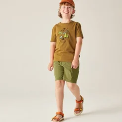 T-shirt enfant Trailblazer - Dare2b - Dark Cumin