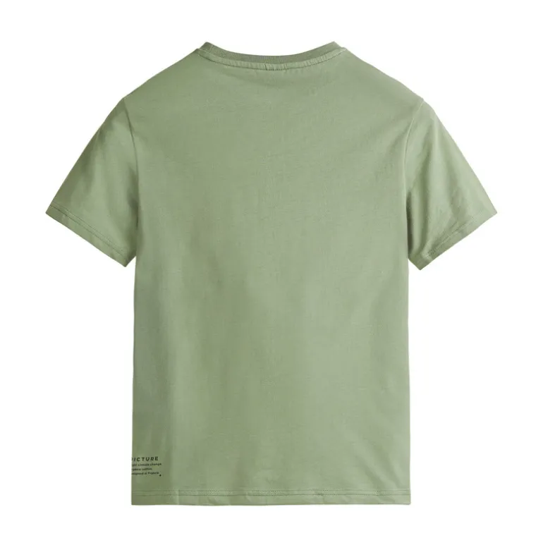 T-shirt garçon Custom Van - Picture Organic Clothing - A Green Spay