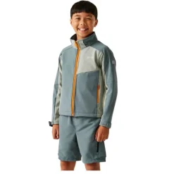 Veste softshell Acidity VIII de Regatta - Stormy Weather