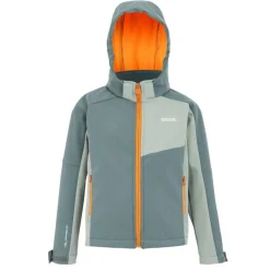 Veste softshell Acidity VIII de Regatta - Stormy Weather