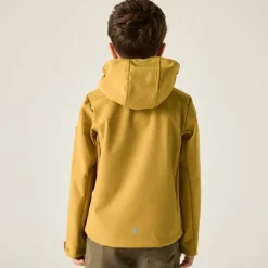 Veste softshell Acidity VIII de Regatta - Brown Sage