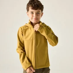 Veste softshell Acidity VIII de Regatta - Brown Sage