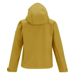 Veste softshell Acidity VIII de Regatta - Brown Sage