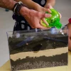 Vivarium racines et vers de terre - Radis et Capucine